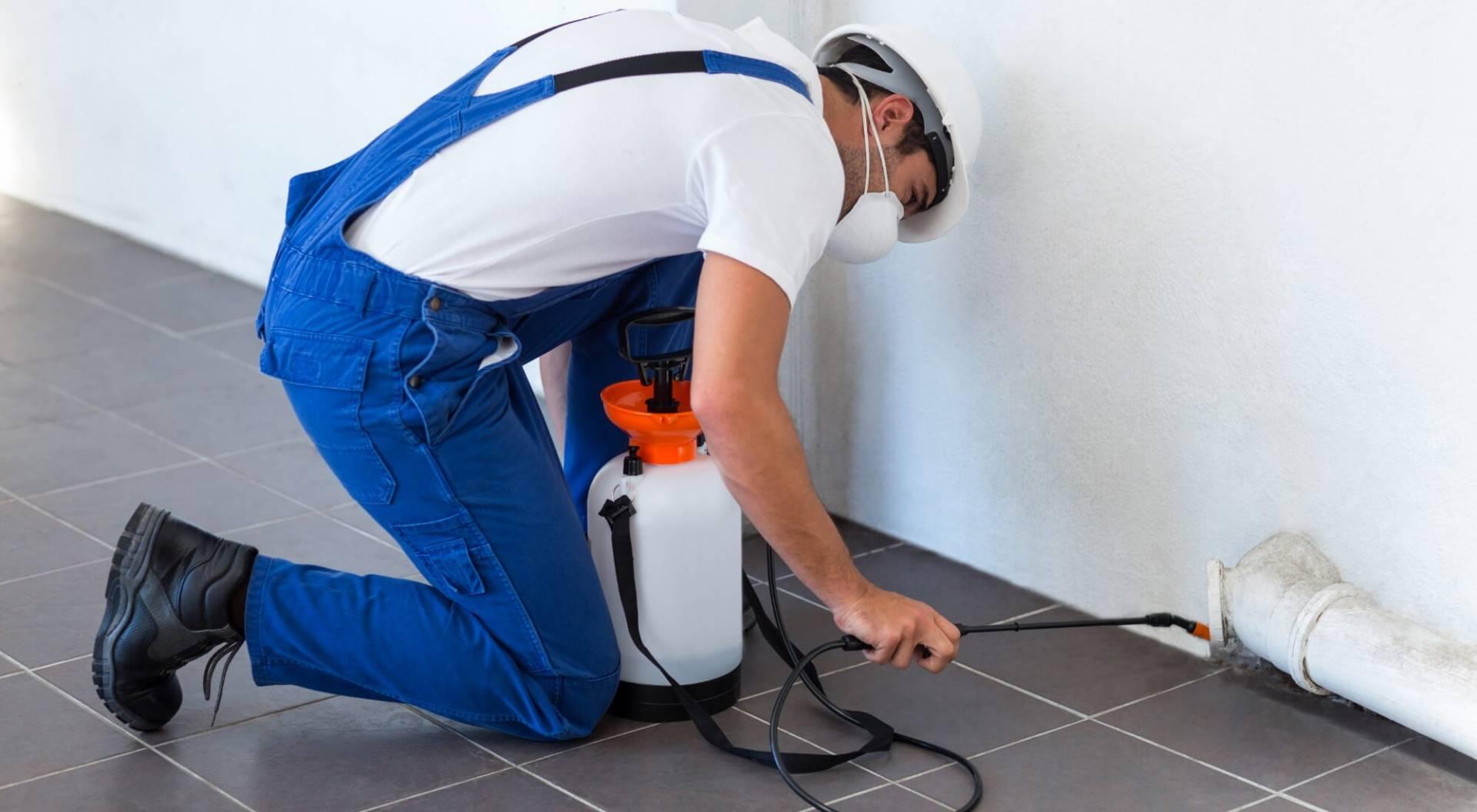 public/uploads/2022/01/Pest-Control-Bondi.jpg