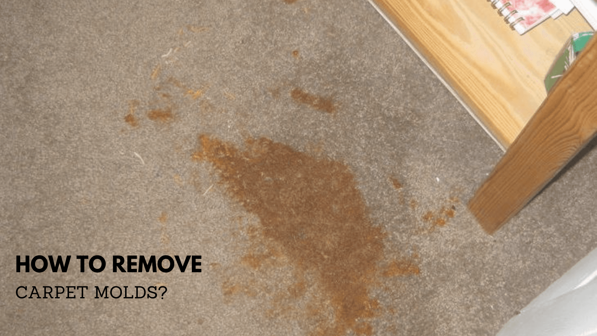 public/uploads/2022/01/carpet-cleaning-Alexandria.png